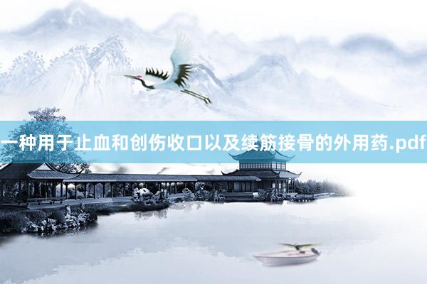一种用于止血和创伤收口以及续筋接骨的外用药.pdf