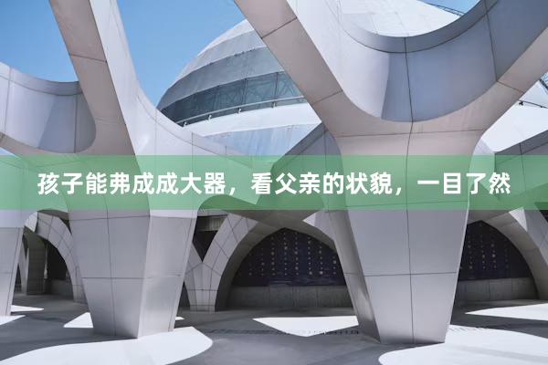 孩子能弗成成大器，看父亲的状貌，一目了然