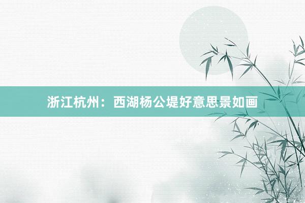 浙江杭州：西湖杨公堤好意思景如画